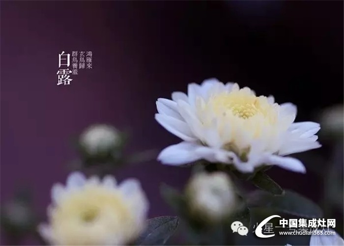 白露至秋意濃，火星一號教你怎么應(yīng)對秋寒