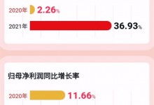 帥豐電器2021年報(bào)：營(yíng)收、凈利潤(rùn)實(shí)現(xiàn)雙位數(shù)增長(zhǎng) (1091播放)