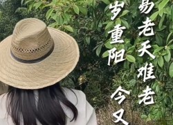 【重陽節(jié)桂花糕】“桂花雨”落在松軟的米糕上，連著桂花蜜的甜味融化在舌尖上，這份獨屬于秋天的歡迎儀式，連帶著重陽節(jié)的獻禮一起和大家分享！ (1834播放)